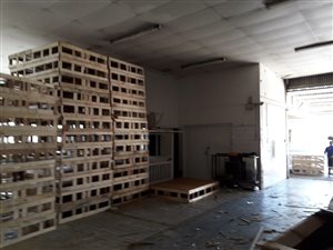 360 m² Industrial space in Germiston South