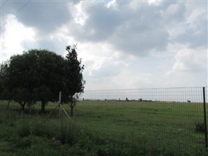 4 ha Land available in Withok Estates