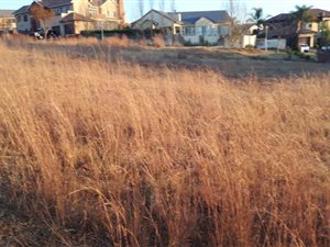 990 m² Land available in Rietvlei Heights Country Estate