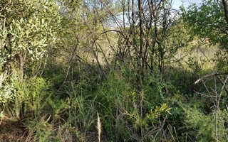 1282 m² Land available in La Camargue