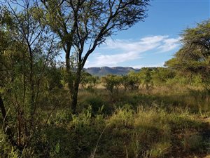 1282 m² Land available in La Camargue