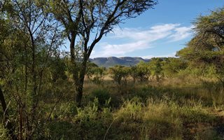 1282 m² Land available in La Camargue