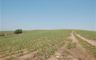86 ha Farm in Ballito