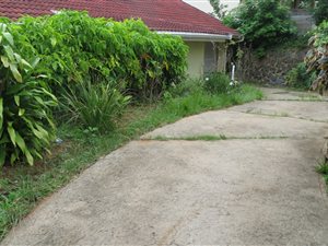 3 Bed Cluster in Illovo Glen