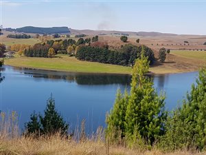 2.4 ha Land available in Kamberg
