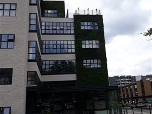530 m² Office Space in Rosebank