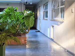 1 Bed Apartment in Gardens