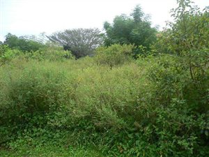 1448 m² Land available in Sezela