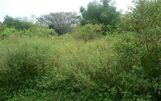 1448 m² Land available in Sezela