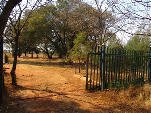 8.5 ha Farm in Tierpoort