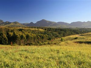 740 m² Land available in Welgelegen Estate