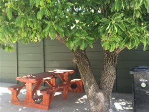 Bachelor apartment in Stellenbosch Central