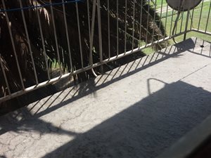 1 Bed House in Vereeniging Central