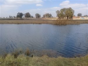 32 ha Farm in Benoni AH