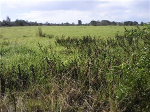1243 m² Land available in Tsitsikamma