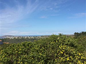1412 m² Land available in Plettenberg Bay