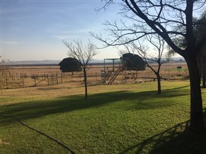 8.5 ha Farm in Rietfontein