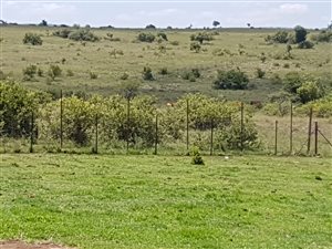 9.5 ha Farm in Sterkfontein and surrounds