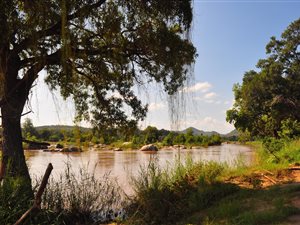 Game Farm in Hoedspruit