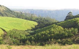 16 ha Farmland in Uvongo