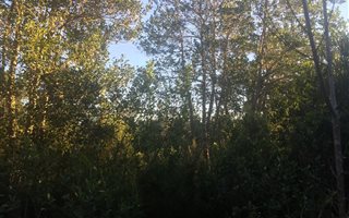 1200 m² Land available in The Crags