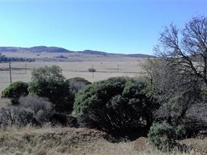256 ha Farm in Henley on Klip