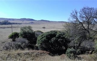 256 ha Farm in Henley on Klip