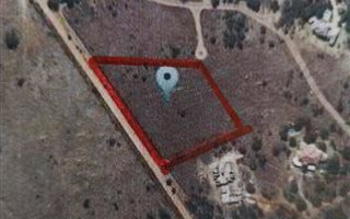 1 ha Land available in Leeuwfontein