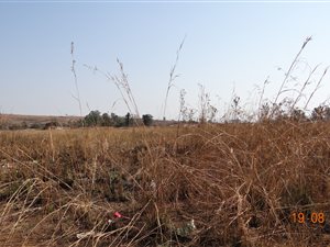 713 m² Land available in Lydenburg