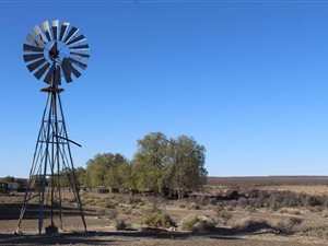 6573 ha Farm in Brandvlei