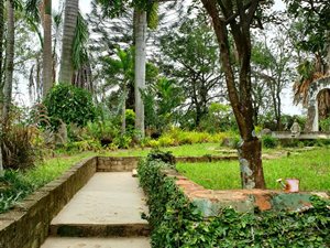2 ha Farm in Tzaneen