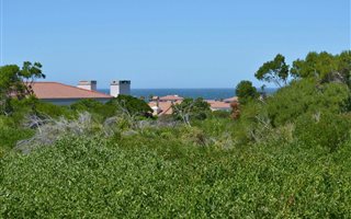 779 m² Land available in St Francis Bay