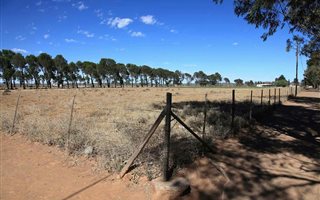 2 ha Land available in Loxton
