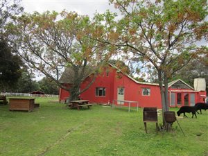 4.3 ha Farm in Firlands
