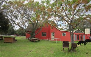 4.3 ha Farm in Firlands