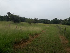 5000 m² Farm in Strydfontein and surrounds