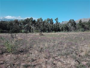1.1 ha Farm in Firlands