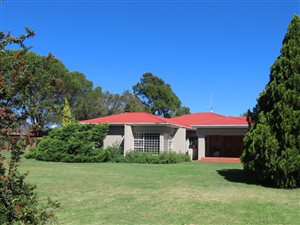 135 ha Farm in Bothaville