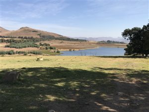 1280 ha Farm in Kokstad