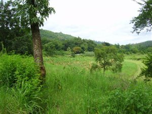 28 ha Farm in Hazyview