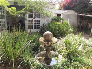 4 Bed House in Bezuidenhout Valley