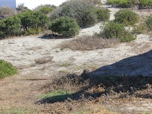 153 m² Land available in Waterfront