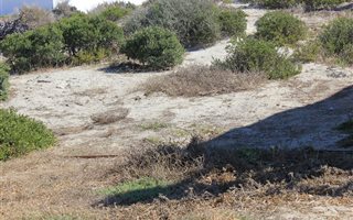 153 m² Land available in Waterfront
