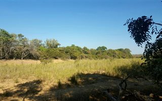 1 ha Land available in Raptors View Wildlife Estate