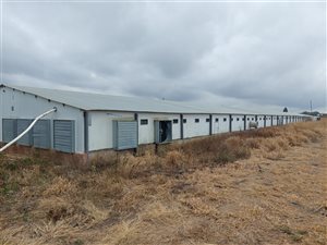 8.5 ha Farm in Makhado (Louis Trichardt)