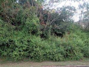 1407 m² Land available in Illovo Glen