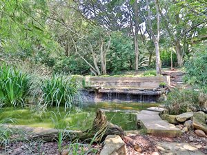4.1 ha Smallholding in White River AH