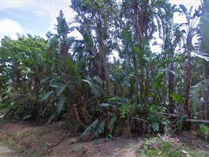 1451 m² Land available in Trafalgar