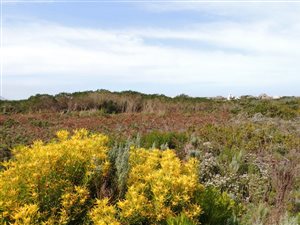 661 m² Land available in Bettys Bay