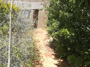 2 Bedroom House in Lovemore Heights